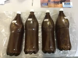 Ayahuasca
