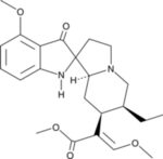 Mitragynina Pseudoindoxil A sólido, 1 mg